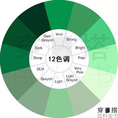 綠色代表意義|色彩心理學（下）：心理學上，黑、白、綠代表什麼？。